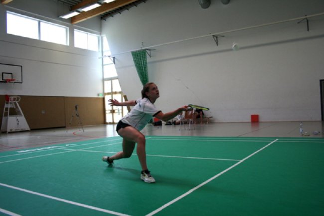 alina hammes dhm2012